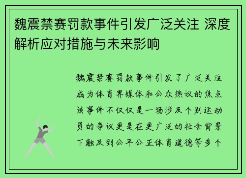 魏震禁赛罚款事件引发广泛关注 深度解析应对措施与未来影响